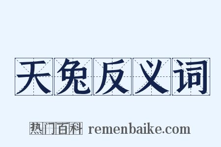 天兔反义词是什么意思的图片